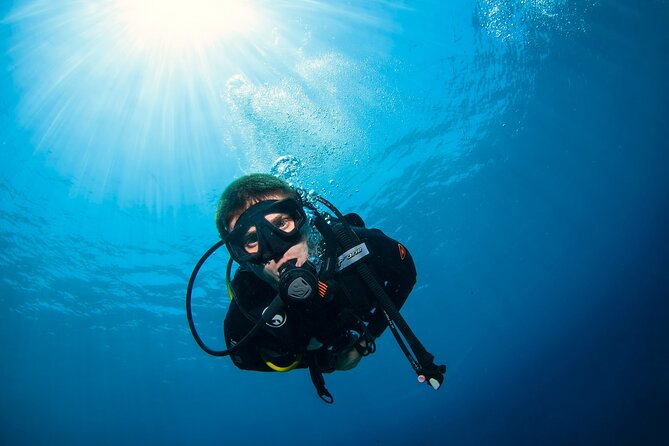 2 Days & 1 Night - 2 Dives in Lembongan/Penida (for certified divers) - Key highlights at a glance
