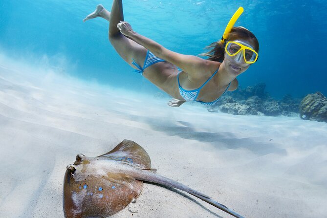 2 Days/1N Trip - Snorkeling with Manta Rays in Lembongan/Penida (all included) - Key points before you go