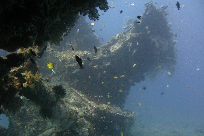 2 PADI Certified Dives at Tulamben from Bali - Two PADI-certified scuba sessions in Tulamben: why this combo works