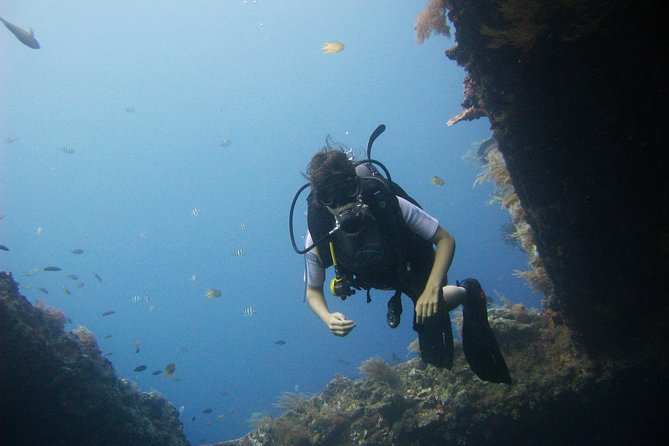 2 PADI Certified Dives at Tulamben from Bali - Who this trip is best for (and who should look elsewhere)