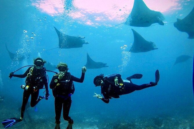 3 Epic Dives in Nusa Penida - Certified Divers' Day Trip - Why Nusa Penida Works So Well for Manta Sightings