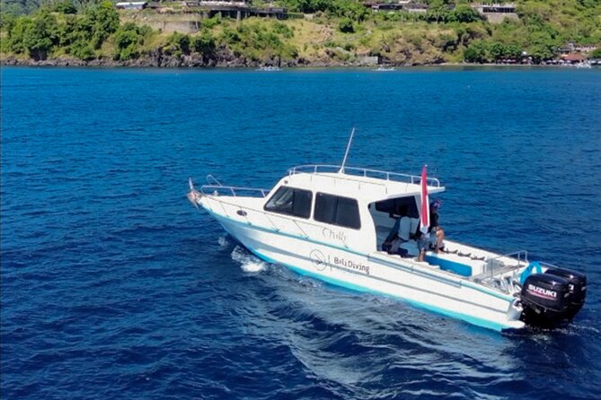3 Epic Dives in Nusa Penida - Certified Divers' Day Trip - Your Day Timeline: South Bali Pickup, Sanur Paperwork, and a Late Afternoon Return