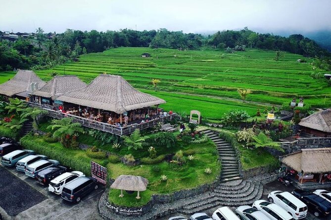4-Hour Private Tour in Jatiluwih Terraces and Butterfly Park - Why this 4-hour Jatiluwih and Butterfly Park plan feels efficient