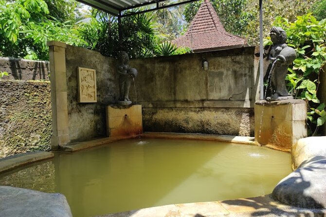 4-Hour Private Tour in Jatiluwih Terraces and Butterfly Park - Penatahan hot spring: a soothing reset after terraces