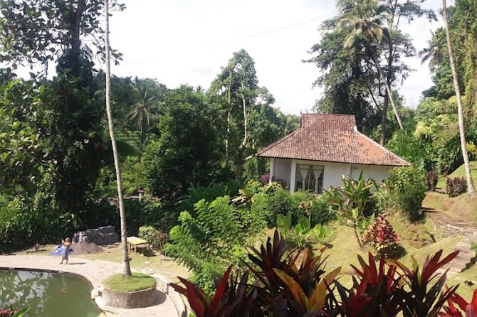 4-Hour Private Tour in Jatiluwih Terraces and Butterfly Park - Private transport and traffic: why the driver matters more than you think