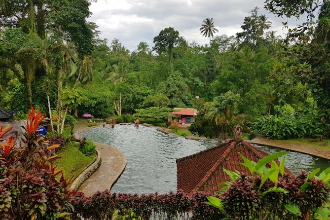 4-Hour Private Tour in Jatiluwih Terraces and Butterfly Park - What to pack for a 4-hour Bali nature-and-culture mix