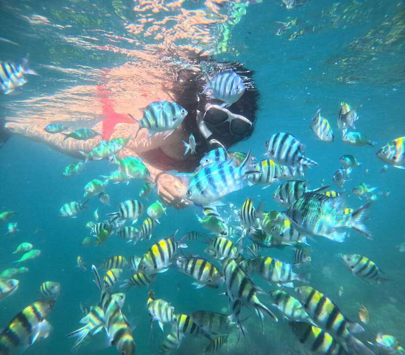 5 Secret Gili Boat Trip & Snorkeling in Southwest Of Lombok - What to bring (and what to avoid) for an easy Gili day