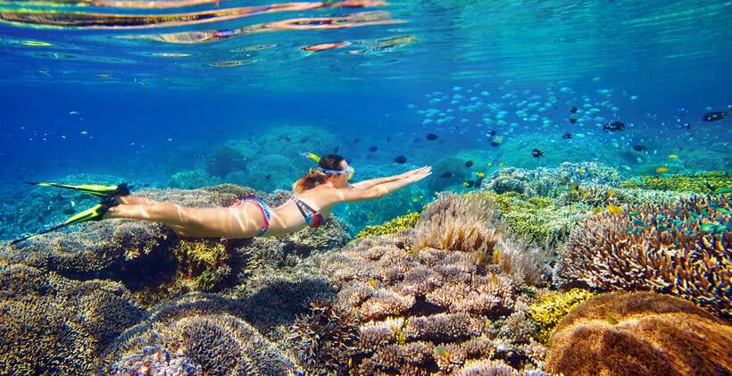 5 Secret Gili Boat Trip & Snorkeling in Southwest Of Lombok - Gili Layar snorkeling: coral reefs, fish, and the sea turtle chances