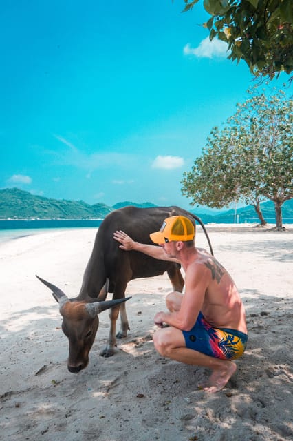 5 Secret Gili Boat Trip & Snorkeling in Southwest Of Lombok - Gili Rengit next: more reef time and more marine life variety