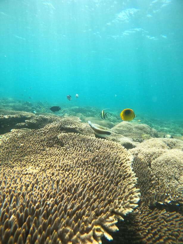 5 Secret Gili Boat Trip & Snorkeling in Southwest Of Lombok - Gili Kedis (Bedis) photo stop: tiny island calm to end the day