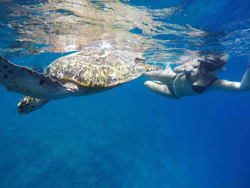 5 Secret Gili Boat Trip & Snorkeling in Southwest Of Lombok - From hotel pick-up to Tawun Harbour: how your morning sets up the snorkeling