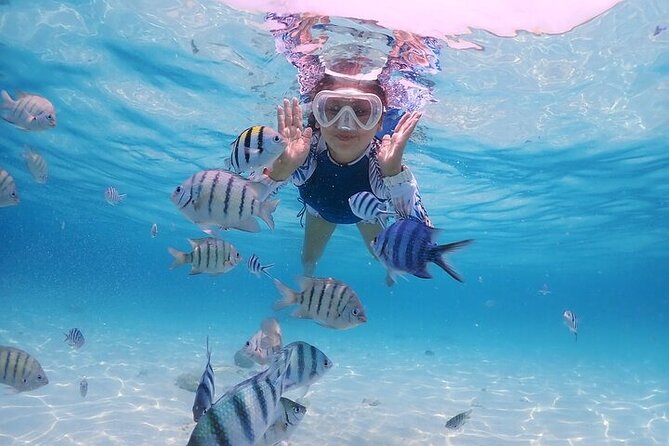 (ALL- IN) Bali Snorkeling Blue Lagoon with Waterfall Visit - Guides, Photos, and What a Private Group Changes