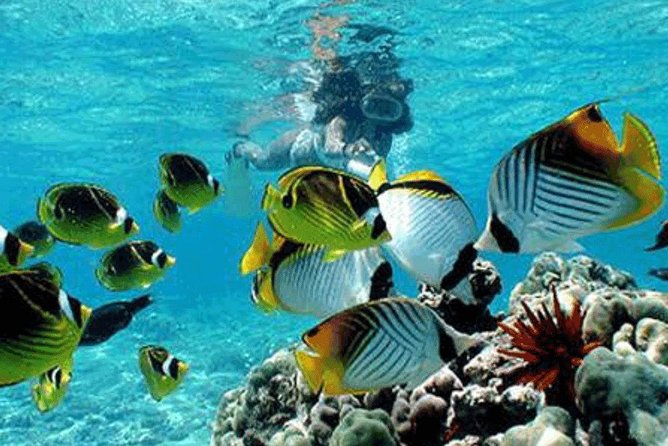 All Inclusive Bali Snorkeling Blue Lagoon tour experience - Bias Tugel Beach at 15:00: Sun Time Off the Boat