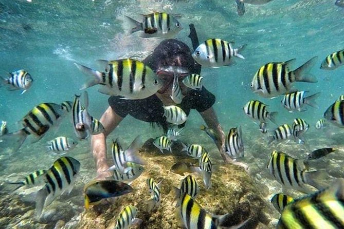 All Inclusive Bali Snorkeling Blue Lagoon tour experience - Timing and Transfers: What the 6-Hour Plan Really Means