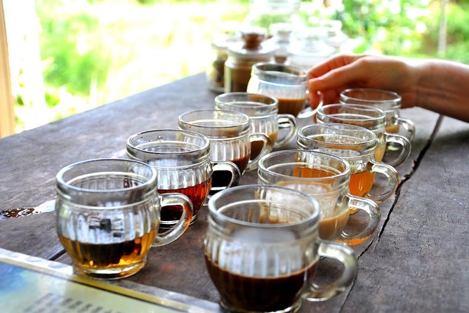 All-Inclusive Bali Ultimate with 2 hours Spa and Lunch - Coffee and Spices Stop: Seeing Luwak Coffee’s Local Roots