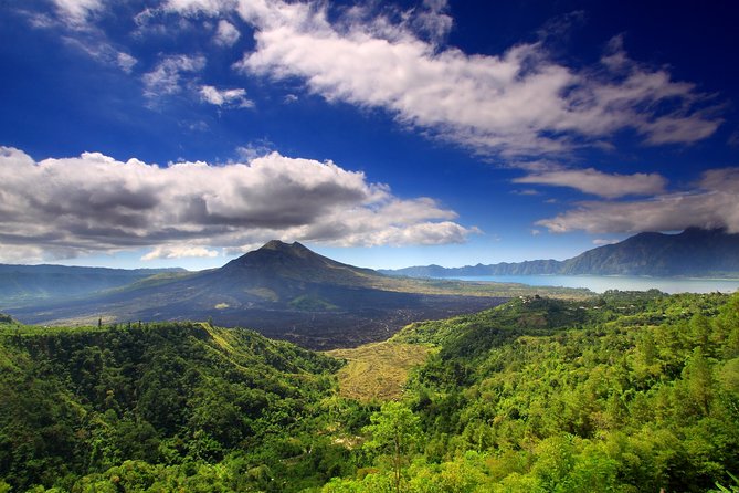 All-Inclusive Bali Ultimate with 2 hours Spa and Lunch - Tegalalang Rice Terraces: Your Best Photo Stop of the Day