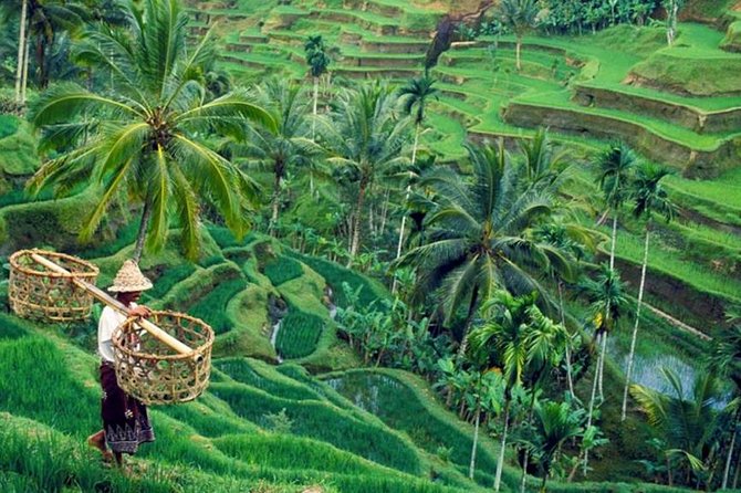 All inclusive Ubud private tour - Key highlights to plan around