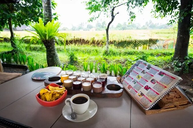 All Inclusives Bali Private Tour Temples Palaces and Nature - Optional Lereng Agung Swing for Rice-Terrace Shots