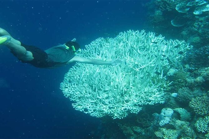 All Ticket Inclusive-Blue Lagoon Snorkeling-Ubud Monkey Forest & Ubud Waterfall - Packing List That Saves You Money and Time