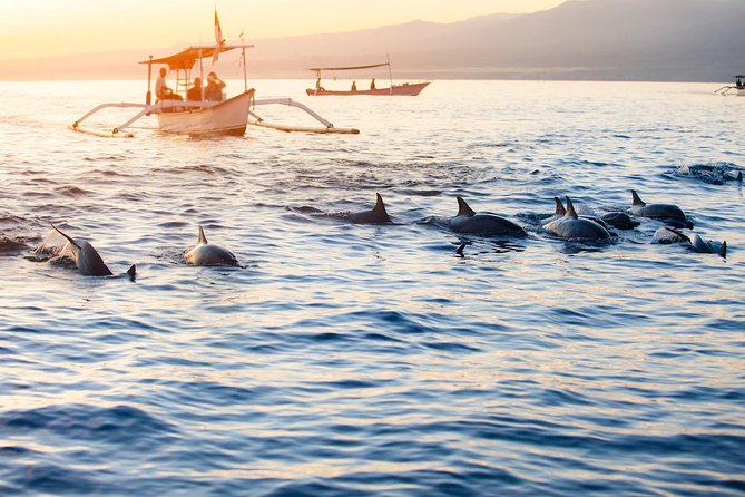 Amazing Private Tours: Dolphins Lovina and Gitgit Waterfall include Lunch - The 2:30am reality: why this tour starts so early