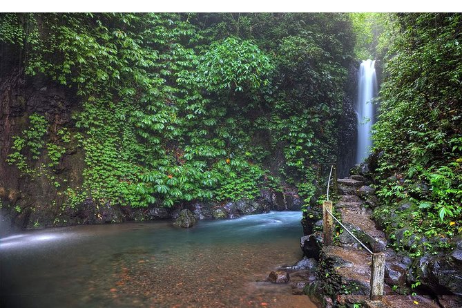 Amazing Private Tours: Dolphins Lovina and Gitgit Waterfall include Lunch - Ulun Danu Bratan Temple: culture with mountain-air views