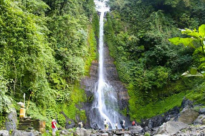 Amazing Private Tours: Dolphins Lovina and Gitgit Waterfall include Lunch - Lunch and Candikuning Market: fuel and local browsing