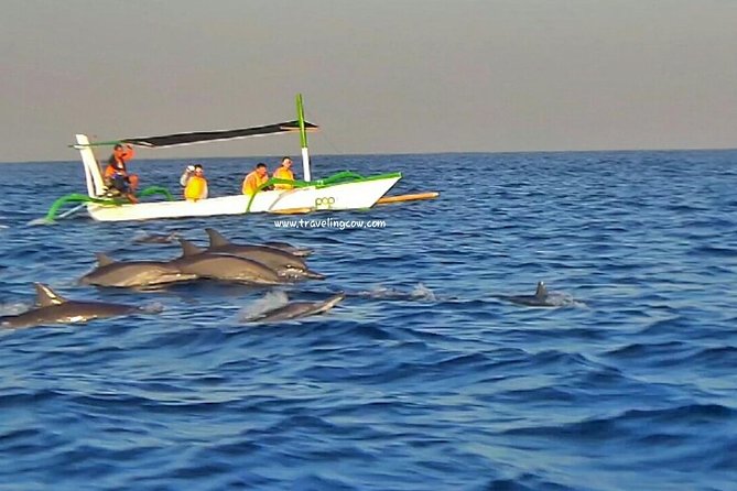 Amazing Private Tours: Dolphins Lovina and Gitgit Waterfall include Lunch - Who this private Lovina–Gitgit–Temple day fits best