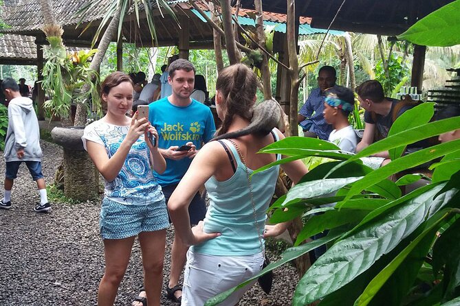 ATV Quad Bike with Kintamani Volcano Tour - All Inclusive - Price Value: Is $60 a Good Deal for This Much Day?