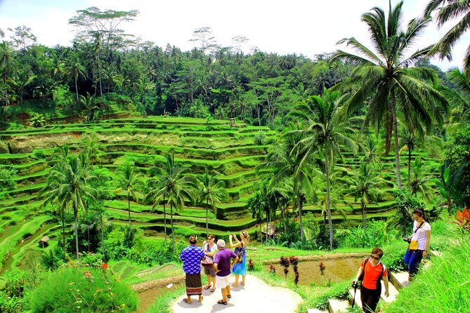 ATV Quad Bike with Kintamani Volcano Tour - All Inclusive - Getting From Kuta: Private Pickup and an English-Speaking Driver