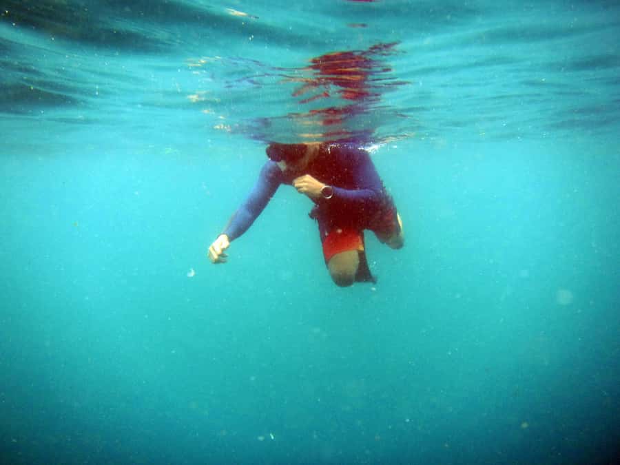 Bali: 1 Hour Snorkeling at Nusa Dua Beach - Key things to know before you book