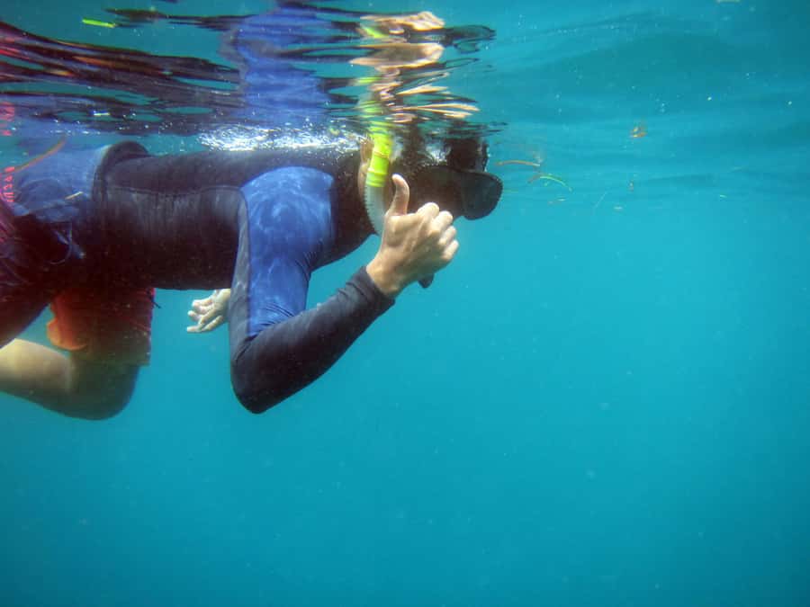 Bali: 1 Hour Snorkeling at Nusa Dua Beach - Your one-hour snorkeling at Nusa Dua Beach: what you’ll see