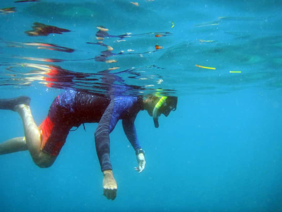 Bali: 1 Hour Snorkeling at Nusa Dua Beach - How the guide team keeps things safe (and why small groups matter)