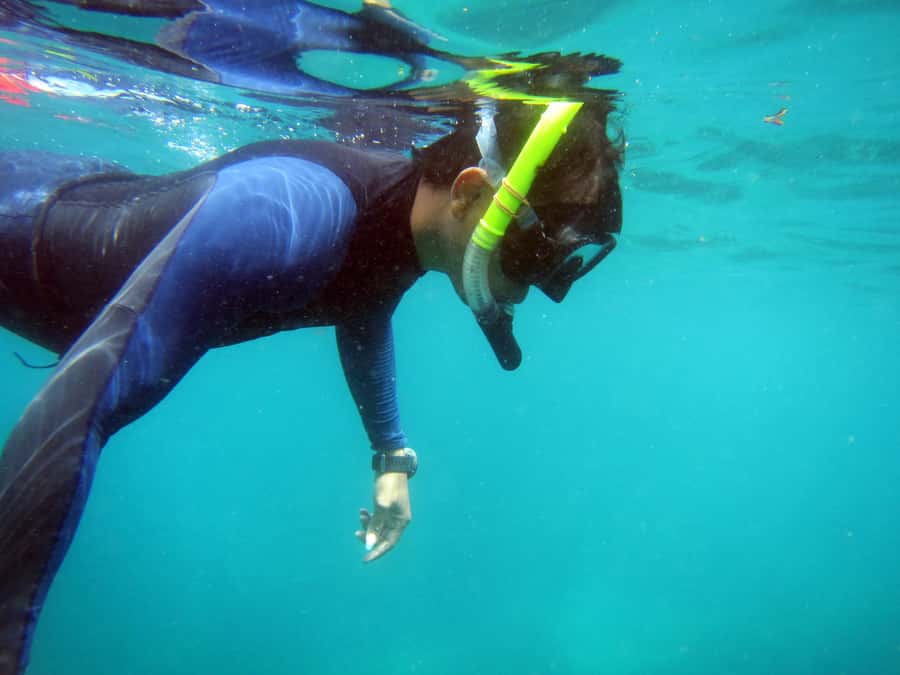Bali: 1 Hour Snorkeling at Nusa Dua Beach - Price and value: is $13 a good deal?