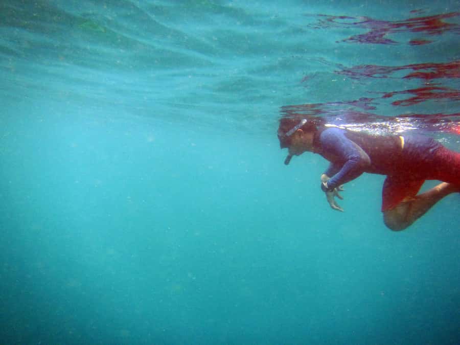 Bali: 1 Hour Snorkeling at Nusa Dua Beach - Who this snorkeling session fits best