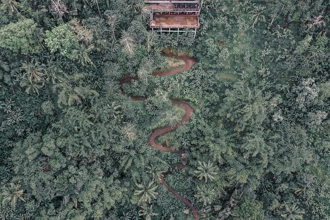 Bali ATV Quad Bike Adventure with Gorilla Cave Pass By Waterfall - ATV and Gorilla Cave in One Day: The Simple Hook