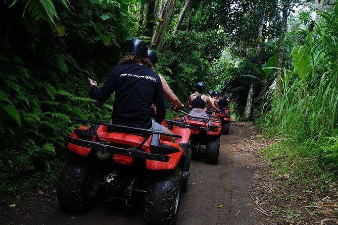 Bali ATV Quad Bike Adventure with Gorilla Cave Pass By Waterfall - Gorilla Cave: Your Main Scenic Payoff