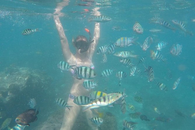 Bali Best Snorkeling at Blue Lagoon - What you’ll see underwater: coral, turtles, and the big characters