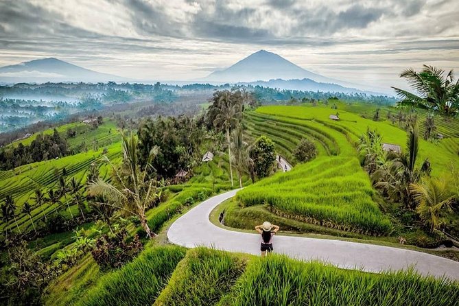 Bali BEST Things to Do Private Full-day Tour from Your Hotel - Tegenungan Waterfall: Jungle Views and Optional Swims