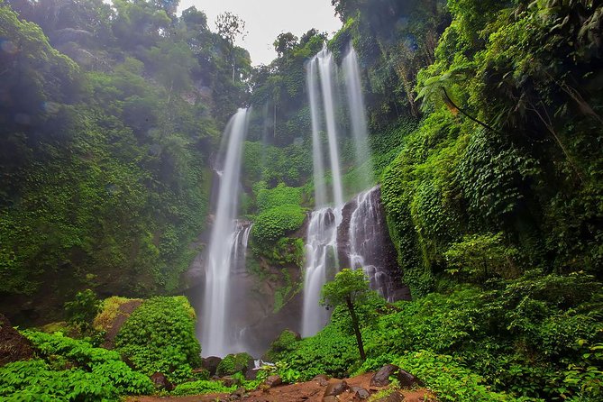 Bali Best Waterfalls Tour : Sekumpul and Banyumala - Who This Tour Is Best For (and Who Might Want Another Option)