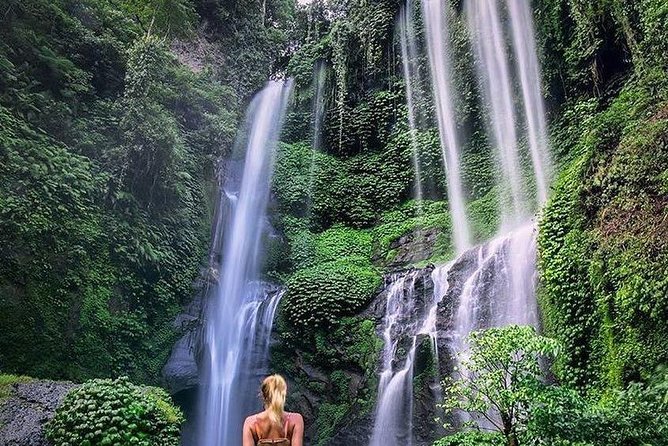 Bali Best Waterfalls Tour : Sekumpul and Banyumala - The Day Schedule: Private A/C Pickup and a Calm, Direct Route