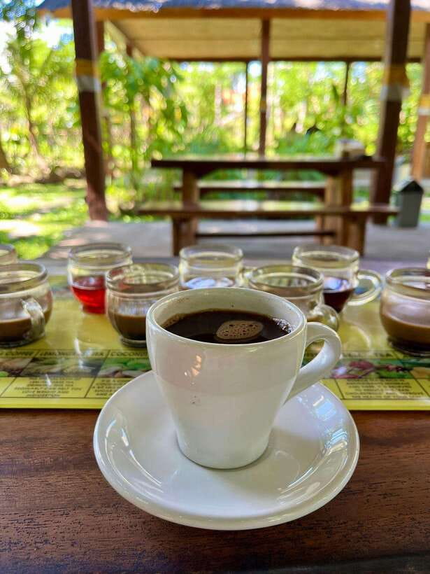 Bali: Blue Lagoon Snorkeling, Waterfall, and Plantation - Blue Lagoon snorkeling: coral views, crowded boats, and what to watch for