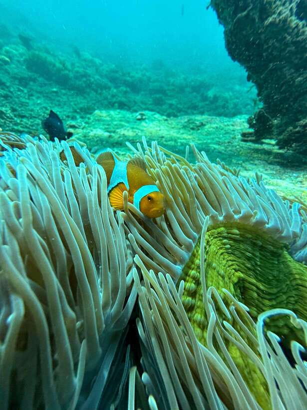 Bali: Blue Lagoon Snorkeling, Waterfall, and Plantation - Tanjung Jepun snorkeling: when the second spot surprises you