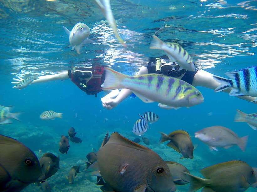 Bali: Blue Lagoon Snorkeling & Waterfall Tour - Key highlights to know before you go