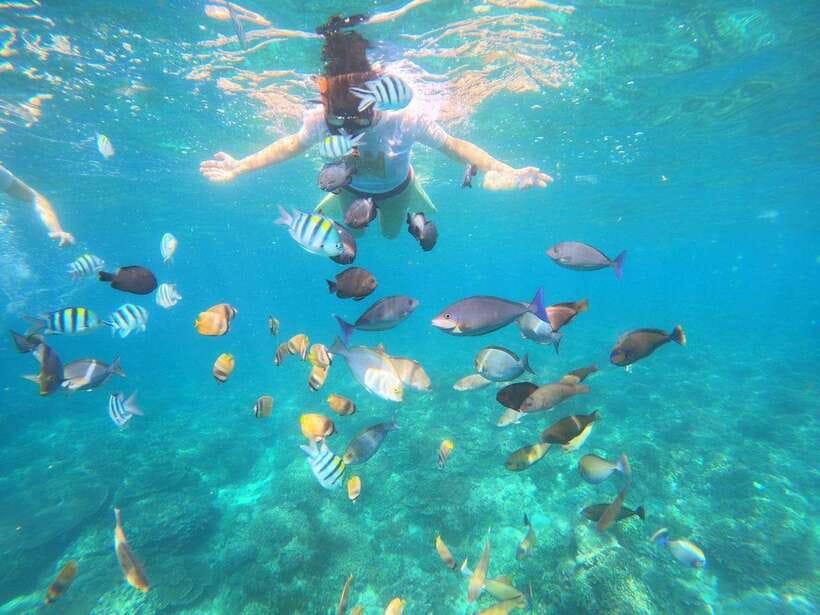 Bali: Blue Lagoon Snorkeling & Waterfall Tour - What to bring (so the day feels easy, not annoying)