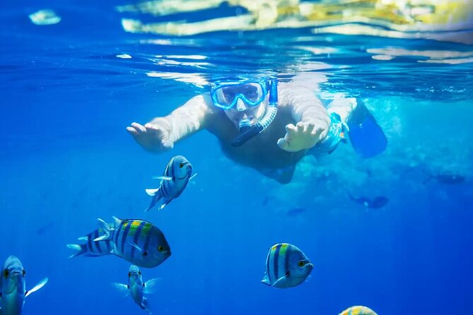 Bali Blue Lagoon Snorkeling with Private Transfer and Lunch - Key Highlights You’ll Feel Right Away