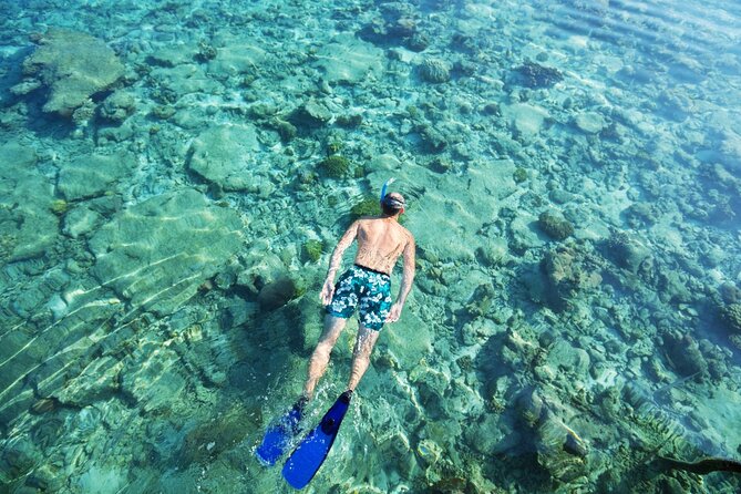 Bali Blue Lagoon Snorkeling with Private Transfer and Lunch - Who This Tour Suits Best (And Who Might Want Something Else)