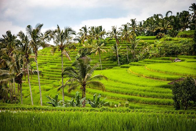 Bali Cheap Tour Packages 3 Days - Guide quality and pacing that feels personal