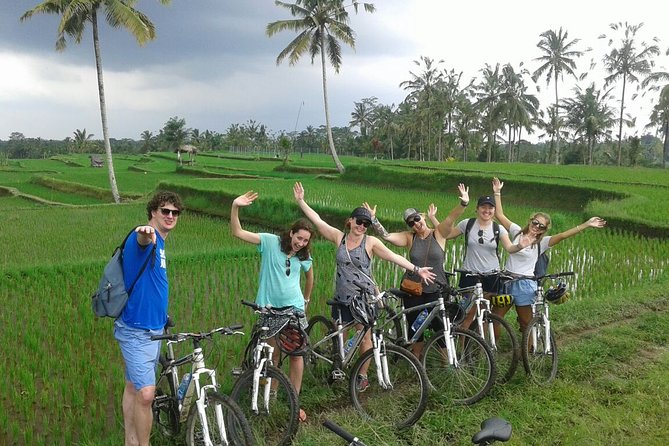 Bali Countryside Cycling Tour by Halo Bike Tour - Bikes ready by 11:15, then 2 hours of easy back-road riding