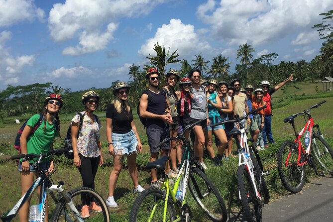 Bali Countryside Cycling Tour by Halo Bike Tour - Lunch at a traditional Balinese home: the best reason to book
