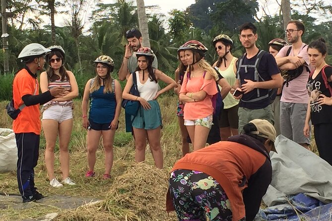 Bali Countryside Cycling Tour by Halo Bike Tour - Price and value: what you’re really paying for at $65
